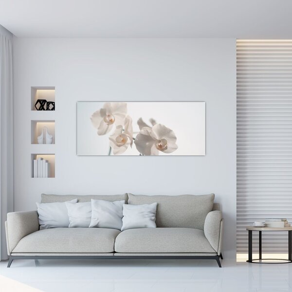 Tablou cu orhidee albă (120x50 cm)