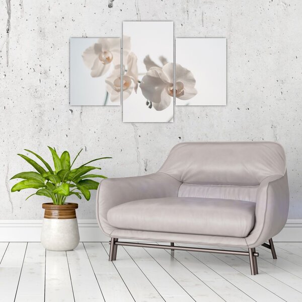 Tablou cu orhidee albă (90x60 cm)