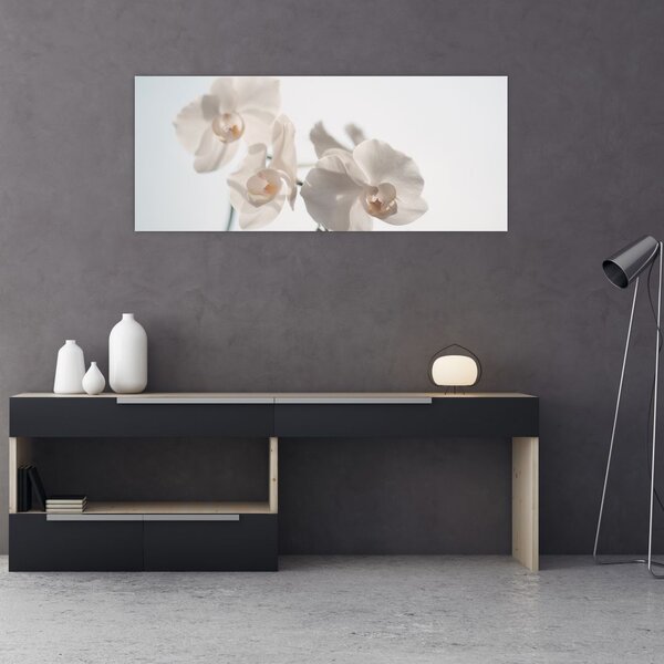 Tablou cu orhidee albă (120x50 cm)