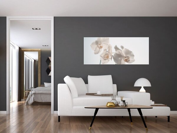 Tablou cu orhidee albă (120x50 cm)
