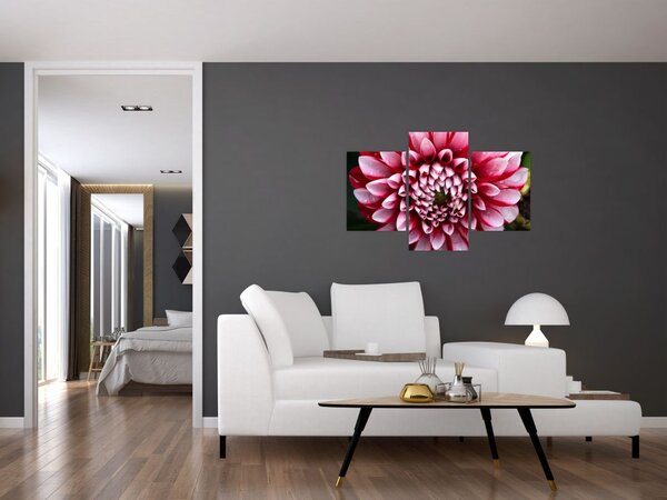 Tablou cu dalie roz (90x60 cm)