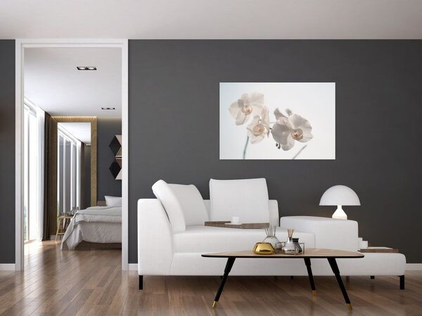 Tablou cu orhidee albă (90x60 cm)