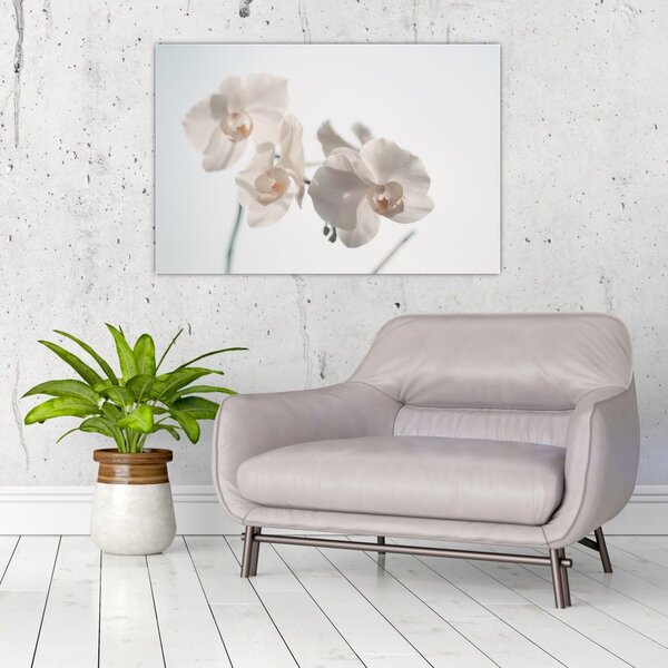 Tablou cu orhidee albă (90x60 cm)