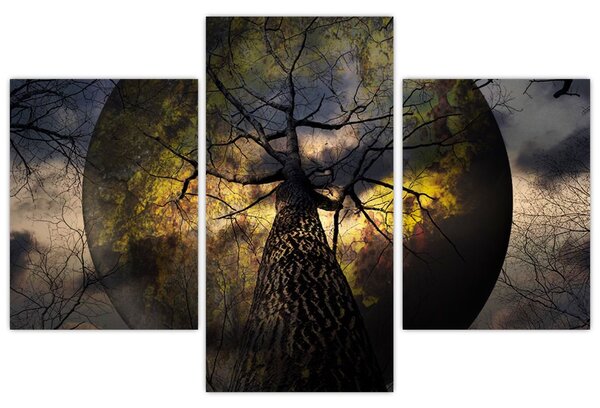 Tablou - Cerul enigmatic (90x60 cm)