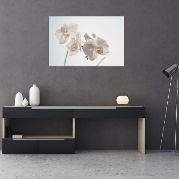 Tablou cu orhidee albă (90x60 cm)