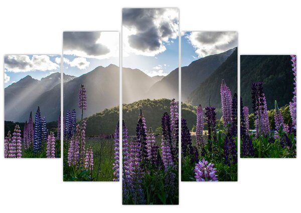 Tablou - scenariu cu flori de Lupin (150x105 cm)