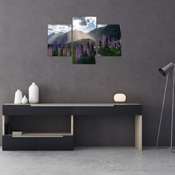 Tablou - scenariu cu flori de Lupin (90x60 cm)