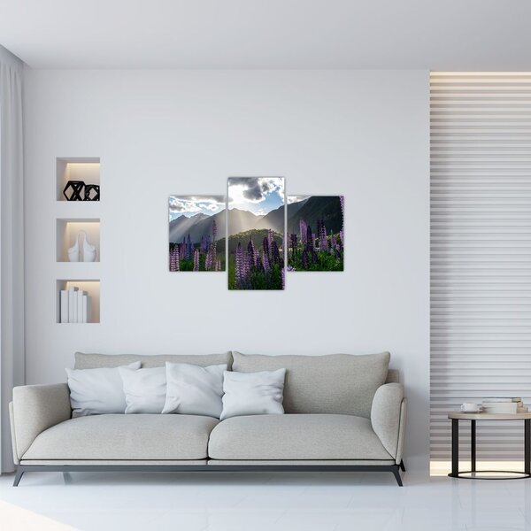 Tablou - scenariu cu flori de Lupin (90x60 cm)