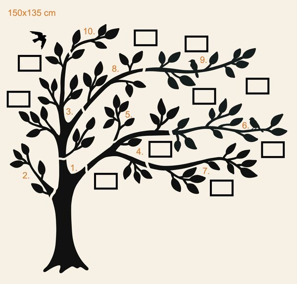 DUBLEZ | Arbore genealogic cu poze (10 rame foto)