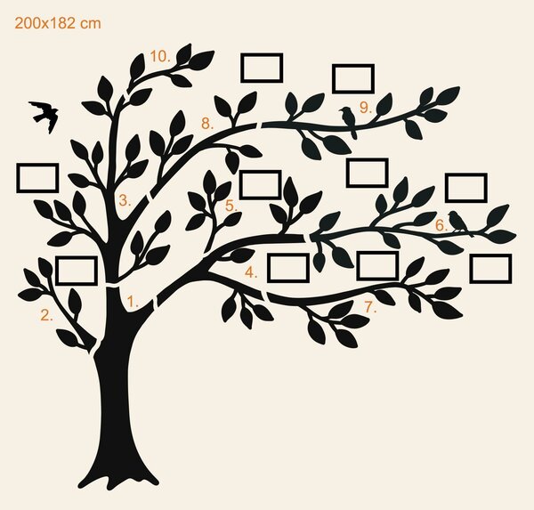 DUBLEZ | Arbore genealogic cu poze (10 rame foto)
