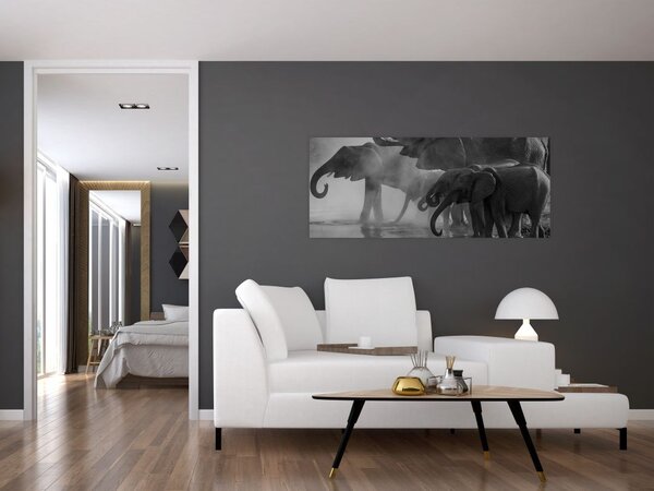 Tablou cu elefanți - albnegru (120x50 cm)