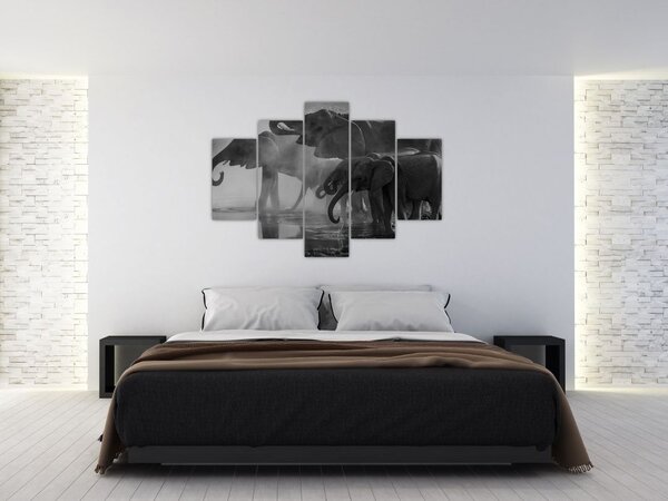 Tablou cu elefanți - albnegru (150x105 cm)