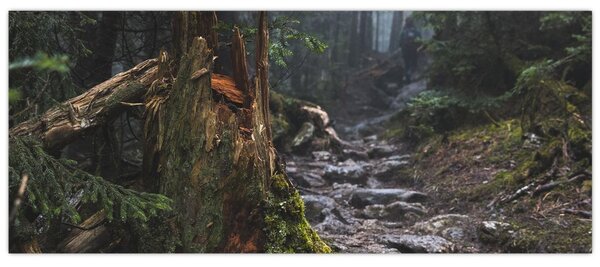 Tablou - În pădure (120x50 cm)
