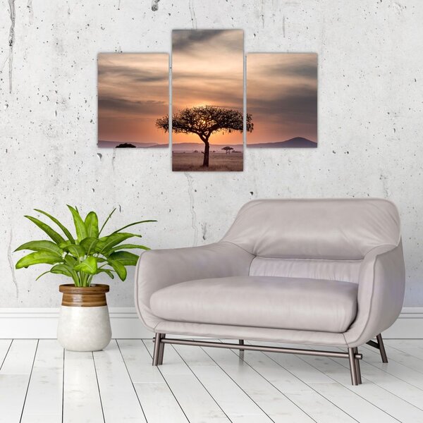 Tablou apusului de soare în Tanzania (90x60 cm)