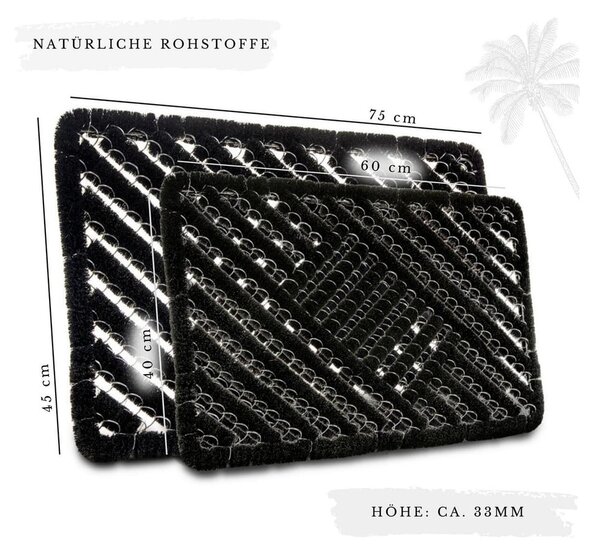Covoraș de intrare din fibre de nucă de cocos 40x60 cm Coco Black – Hanse Home