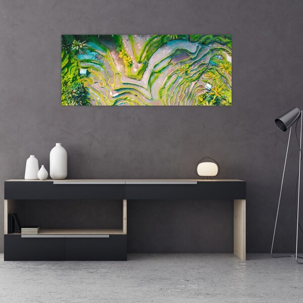 Tablou cu lanuri de orez din privire de sus (120x50 cm)