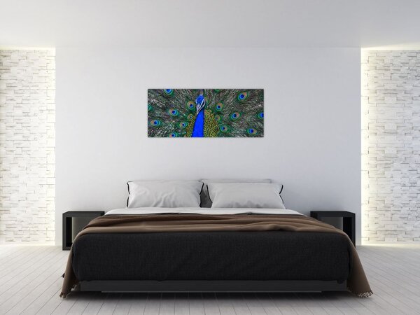 Tablou - Păun (120x50 cm)