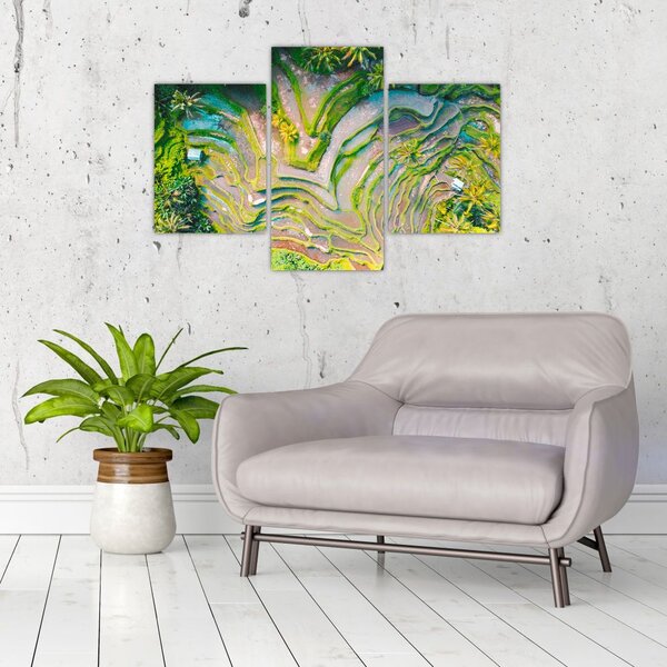 Tablou cu lanuri de orez din privire de sus (90x60 cm)