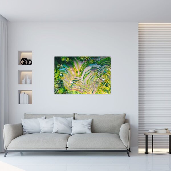 Tablou cu lanuri de orez din privire de sus (90x60 cm)