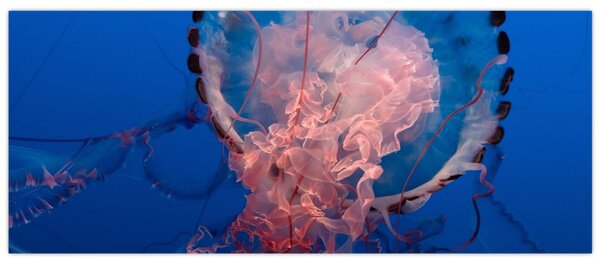 Tablou - Medusa (120x50 cm)
