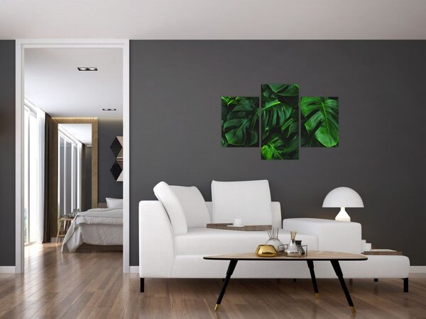 Tablou cu frunze Monstery (90x60 cm)
