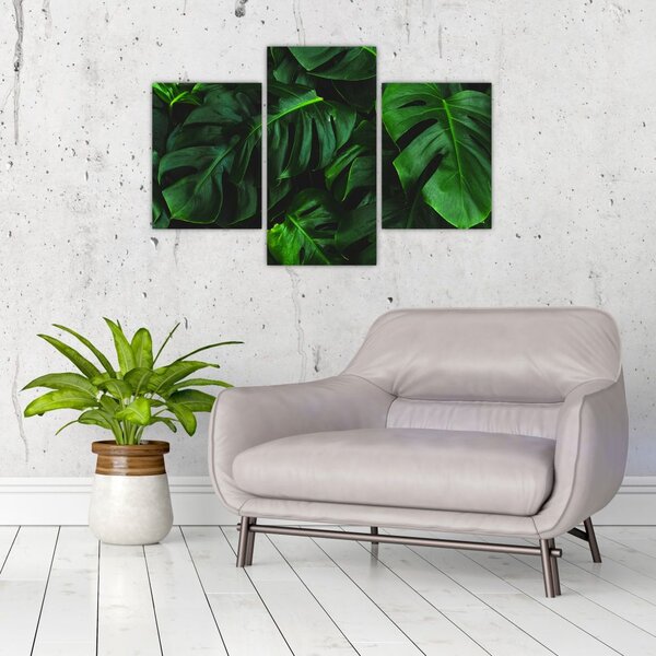 Tablou cu frunze Monstery (90x60 cm)
