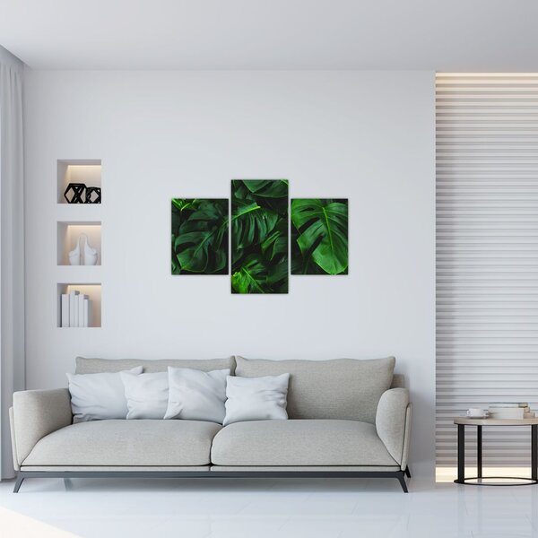 Tablou cu frunze Monstery (90x60 cm)
