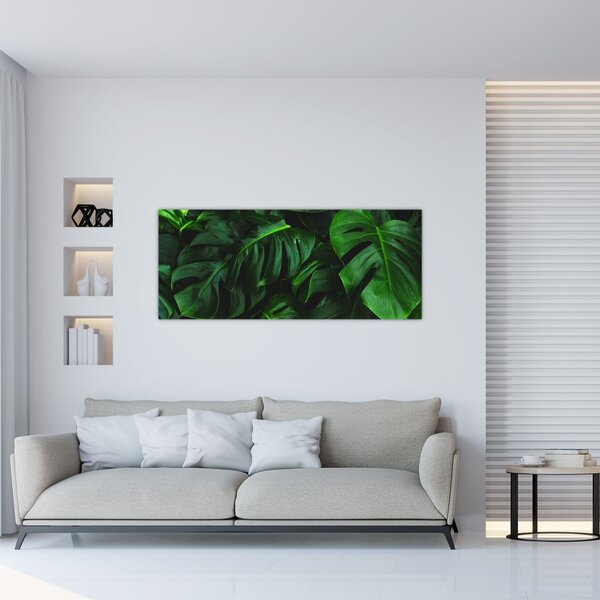 Tablou cu frunze Monstery (120x50 cm)
