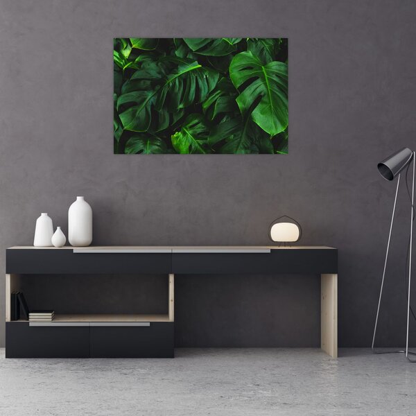 Tablou cu frunze Monstery (90x60 cm)