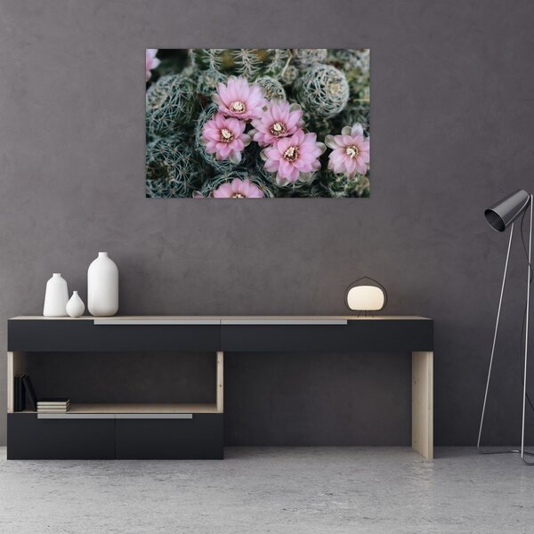 Tablou floare de cactus (90x60 cm)