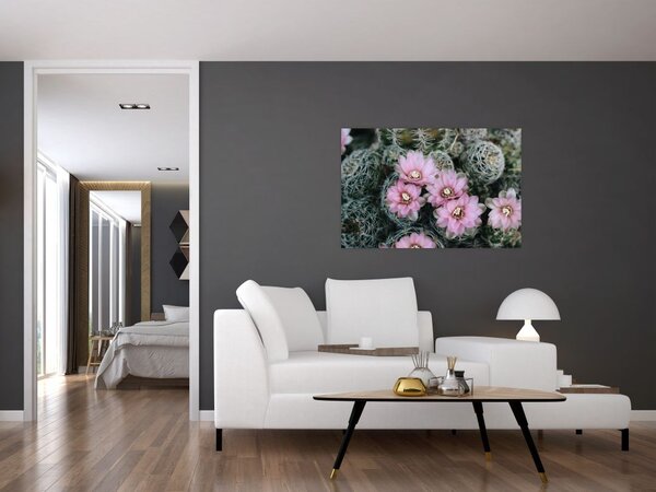 Tablou floare de cactus (90x60 cm)