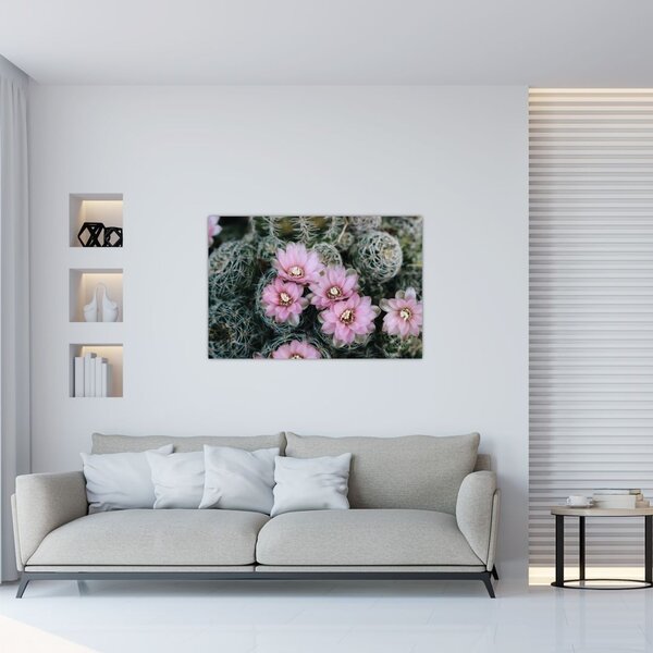 Tablou floare de cactus (90x60 cm)