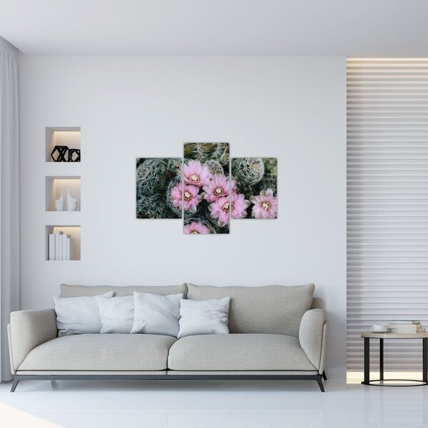 Tablou floare de cactus (90x60 cm)