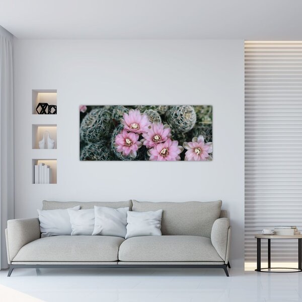 Tablou floare de cactus (120x50 cm)