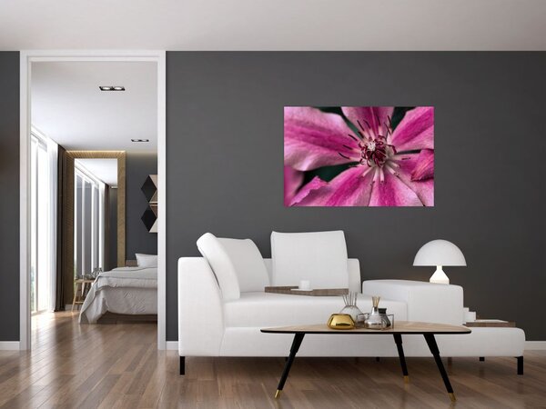 Tablou cu floarea roz de clematis (90x60 cm)