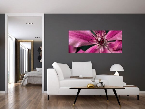 Tablou cu floarea roz de clematis (120x50 cm)