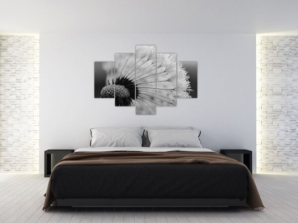 Tablou cu păpădie - albnegru (150x105 cm)