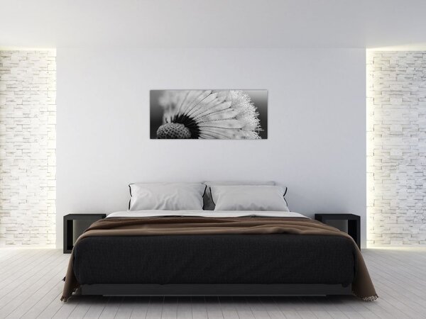 Tablou cu păpădie - albnegru (120x50 cm)