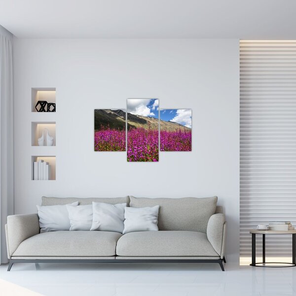 Tablou sceneriei cu lunca montană (90x60 cm)