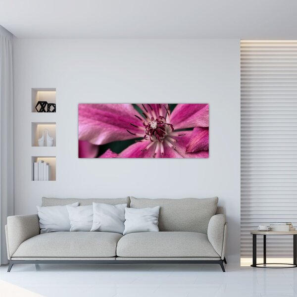 Tablou cu floarea roz de clematis (120x50 cm)