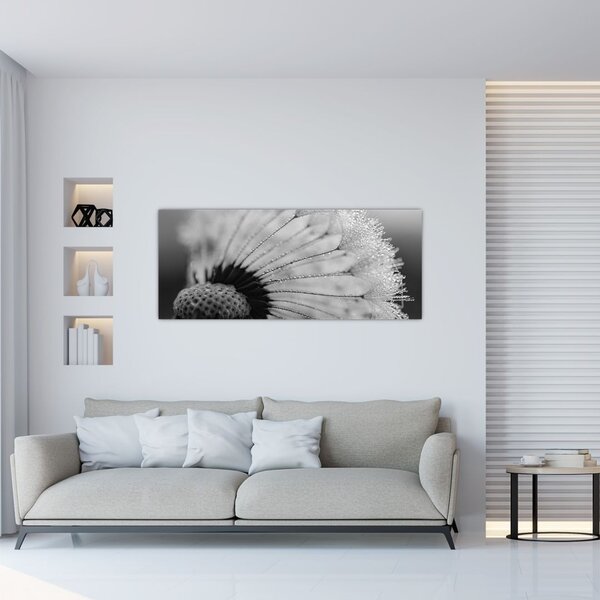 Tablou cu păpădie - albnegru (120x50 cm)