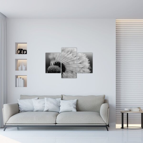 Tablou cu păpădie - albnegru (90x60 cm)