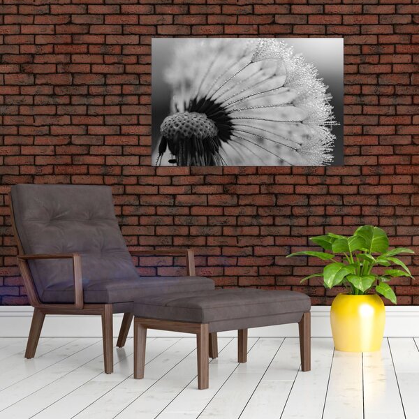 Tablou cu păpădie - albnegru (90x60 cm)