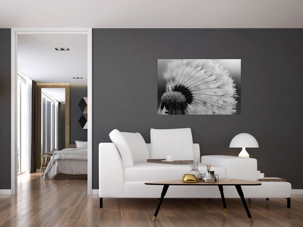 Tablou cu păpădie - albnegru (90x60 cm)