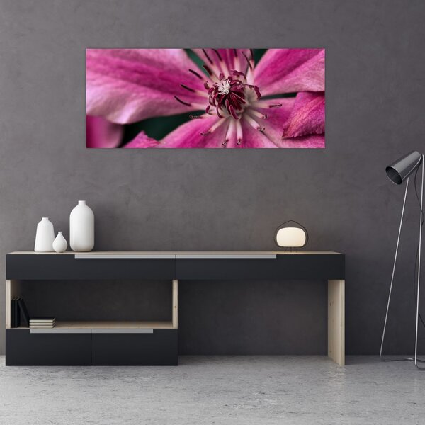 Tablou cu floarea roz de clematis (120x50 cm)