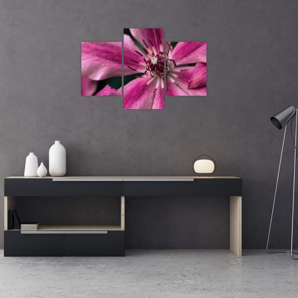 Tablou cu floarea roz de clematis (90x60 cm)