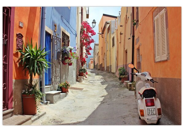 Tablou cu strada din Sardinia (90x60 cm)