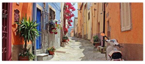 Tablou cu strada din Sardinia (120x50 cm)