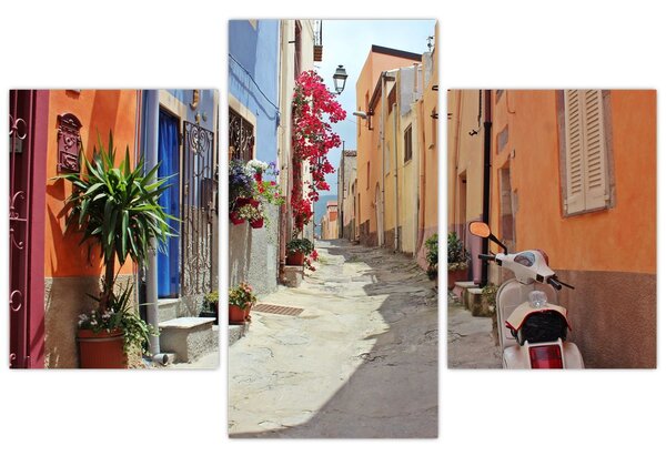 Tablou cu strada din Sardinia (90x60 cm)
