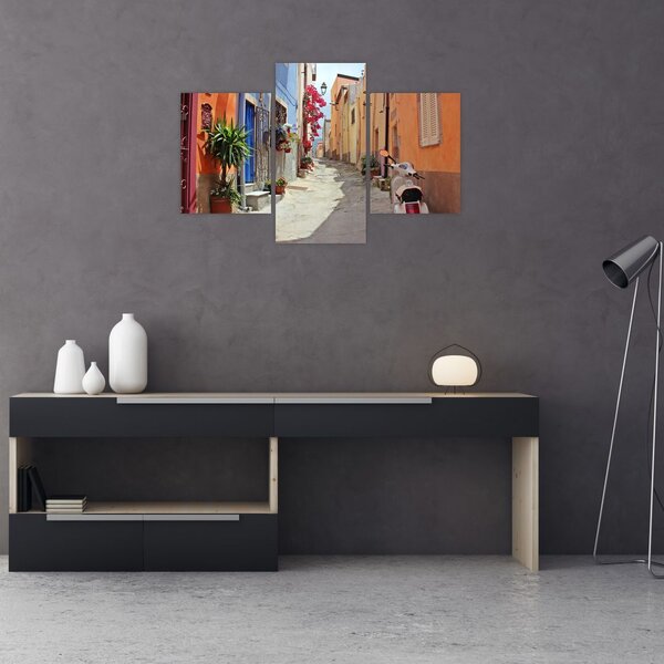 Tablou cu strada din Sardinia (90x60 cm)